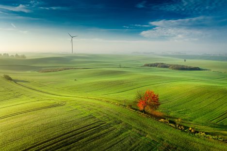 EPA, Deca-BDE ve PIPİçin TSCA Düzenlemelerini Değiştirdi