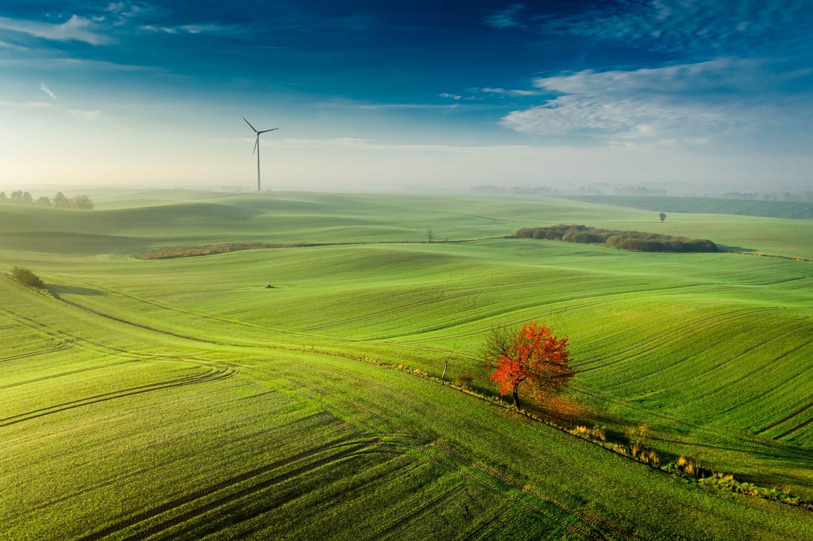 EPA Amends TSCA Regulations for Deca-BDE and PIP (3:1)