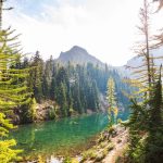 ISOIWA 482024 - Launching a New Era in ESG Practices