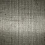 Opticity Test Physical Tests