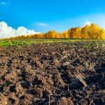 New EU Regulation Aims to Protect Environment and Health by Limiting PAH Levels in Sludge Targets