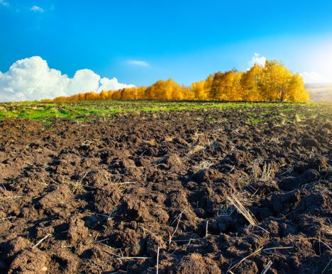 New EU Regulation Aims to Protect Environment and Health by Limiting PAH Levels in Sludge Targets