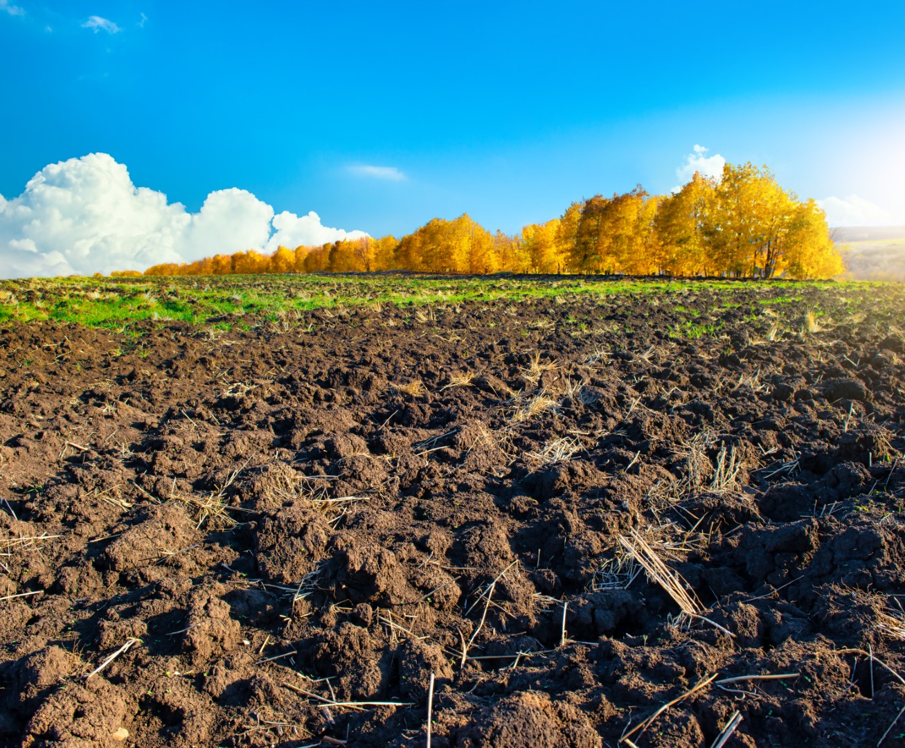 New EU Regulation Aims to Protect Environment and Health by Limiting PAH Levels in Sludge Targets